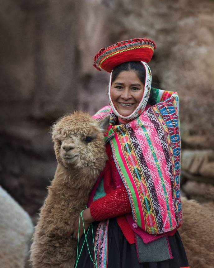 Tour Con Alpacas
